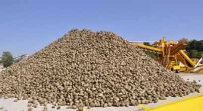 Tarladan Sofraya `Tatlı` Yolculuk