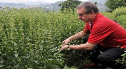 Türkiye`de Bir İlk