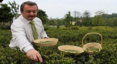 Üretici Kendisi İçin Saklıyor, Satmıyor