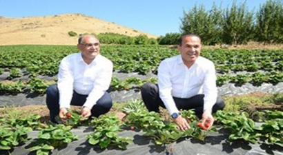 Yerinde Kalkınmaya Büyükşehir Desteği Sürüyor