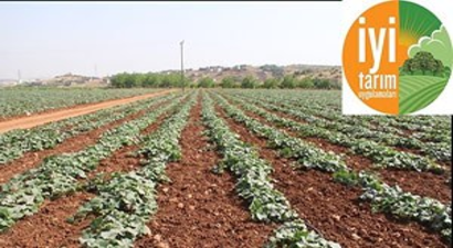 Andırın`da İyi Tarım Uygulamaları Eğitimi Verildi