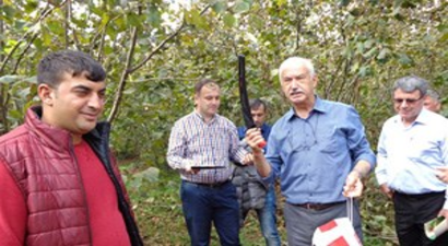 Fındık Yetiştiriciliğinde Budama Elemanlarına Eğitim