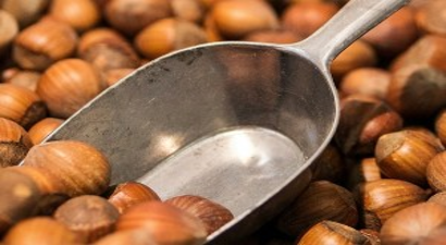 `Fındıkta, Üretici Sabrı Fiyatı Yükseltiyor`