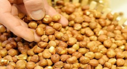 Avrupa`ya Gönderdiğimiz Fındıklar Geri Dönebilir