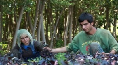 Hevsel`de Kara Reyhan Hasadı