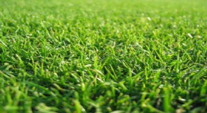 İrlanda Çimlerden Enerji Üretecek