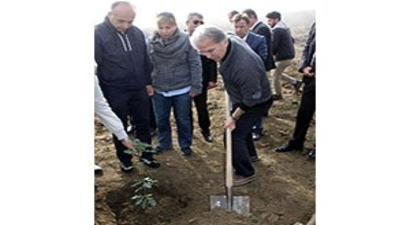 Karabük`te Trüf Mantarı Yetiştirmek İçin 150 Meşe Fidanı Dikildi