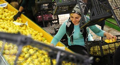 Limon Bu Yıl Da Cep Yakacak