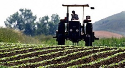 Manisalı çiftçi organik tarımı sevdi