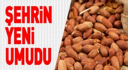 Muğla`da Yeni Ürünlerin Üretimi Başladı