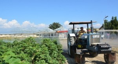 Nazilli`de Pamukta Tarla Günü Yapıldı