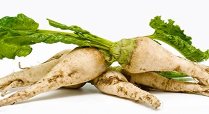 Pancarda Yüksek Fiyat Beklentisi