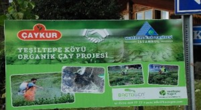Rize`de Organik Çay Projesi Hemşin`den Sonra Çayeli`de Devam Ediyor