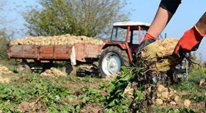 Şekerde Kota Tartışması