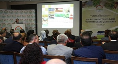 Sıcak İklim Tahılları Tohumculuk Çalıştayı Yapıldı.