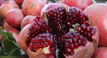 Şifa Kaynağı Nar Tezgahları Süsledi