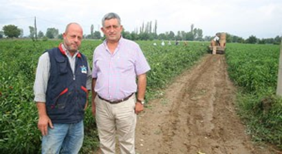 Yağmur Çiftçiyi Sevindirdi