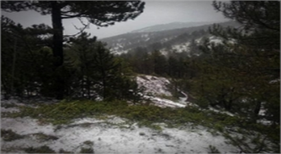 Tosya`da Tarım Projesi Çalışmaları