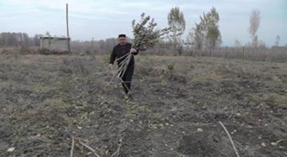 750 Fidanı Bir Gecede Kestiler