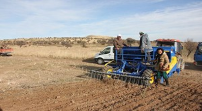 Anıza Tohum Ekimi Yapıldı
