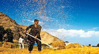 Bakliyat Alarm Veriyor