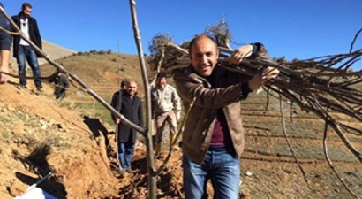 Bitlis`te 5 Bin Ceviz Fidanı Toprakla Buluştu