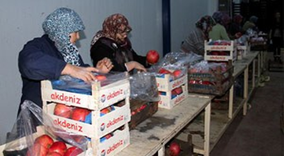 Bursa`nın Narı Avrupa`nın Gözdesi