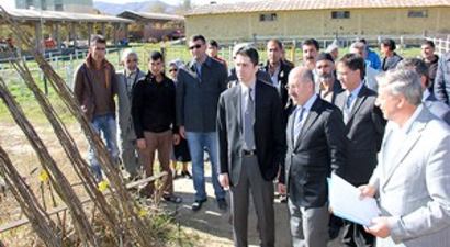 Çiftçilere Ceviz Fidanı Dağıtıldı