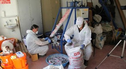 Çiftçiye Tarla Faresiyle Mücadele Anlatılıyor