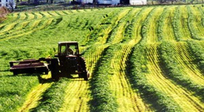 Dünya Tarımının Envanteri Çıkartılıyor
