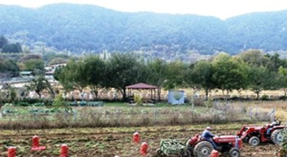 Fiyatı Bir Dönem 5 Liraya Kadar Çıkan Patates 40 Kuruşa Düştü