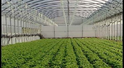 Gölova`da Seracılık Projesi