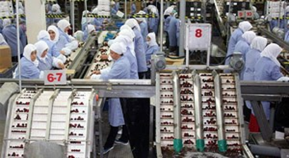 Kiraz İhracatı Çin`le Coşacak