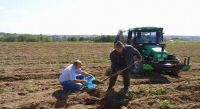 Kırklareli`nde Buğday ve Arpa Çeşit Demonstrasyonu