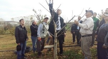 Malkara`da Çiftçilere Budama Eğitimi Verildi