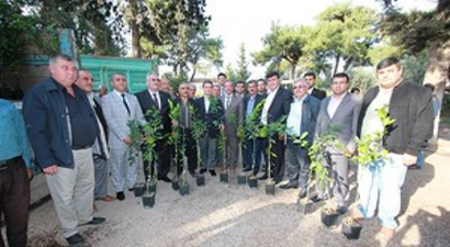 Mandarin Fidanı Dağıtımı Yapıldı