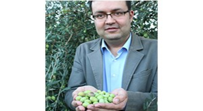 Mersin`de `Sarı Ulak` Zeytinine Kalite ve Verim Çalışması