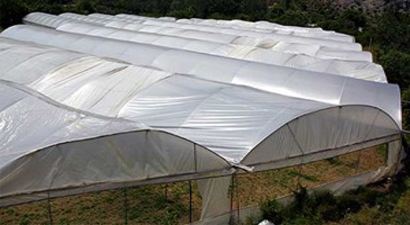 Orköy Kredisiyle Kurulan Seraların Sertifika Töreni