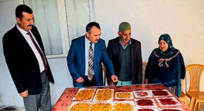 Safran Üreticisine Devlet Desteği