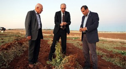 Şanlıurfa`da Antep Fıstığından Sonra Yer Fıstığı Ekilmeye Başlandı