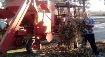 Sulu Tarım Üreticilerin Yüzünü Güldürdü