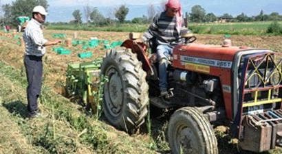 TÜİK, Ödemiş`te Tarımsal Yapının Röntgenini Çekiyor