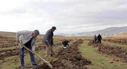 Van`da `Çekirdekten Badem Yetiştiriciliği` Projesi Başladı
