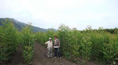 DİKA`dan Ceviz Bahçeciliğine Mali Destek