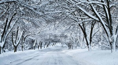 Fındık Üreticileri Kar Yağışına Umut Bağladı
