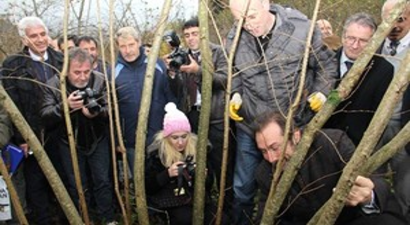 Fındıkta Budama Seferberliği