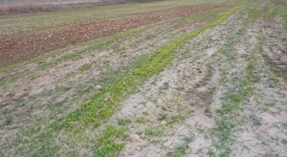 Güneydoğu`da Kurak Kış