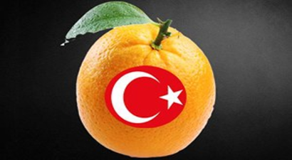 İtalya`da Türk Narenciyesi Alarmı