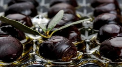 Marmarabirlik Bu Yıl 40 Bin Ton Zeytin Alacak