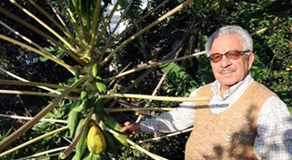 Meraklı Çiftçi Açıkta Tropikal Meyve Yetiştirdi